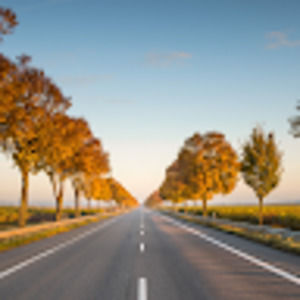 Meet your Posher, Joel